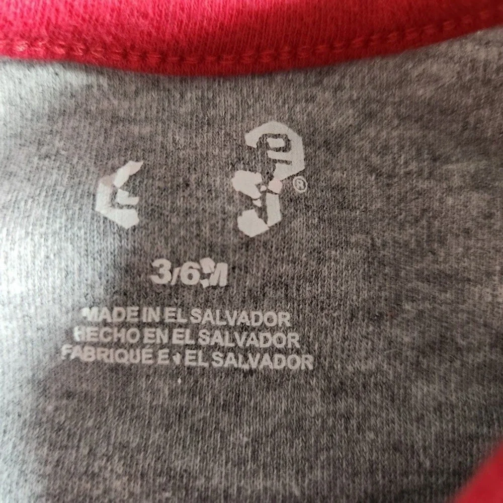 Wisconsin Badgers Baby Bodysuit Grey Red Born To Be A Badgers Baby 3-6M NCAA 420
